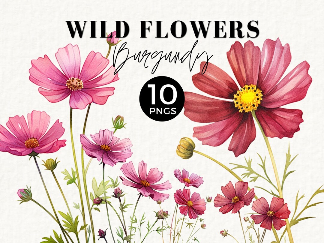 Wild Floral Clipart Watercolor Wild Flowers, Burgundy, Wedding Clipart ...