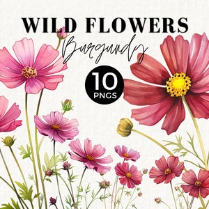 Clipart floral selvagem aquarela flores silvestres, Borgonha, clipart de casamento, bordas florais em aquarela, cosmos, flores silvestres botânicas, PNG, 031SS