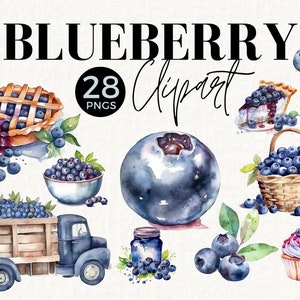 Blueberry Clipart, perfect for Baby Shower Games and Invitations, Berry First Birthday, Baby Boy Clipart, Berry Sweet, 28 PNGs, 010SS
