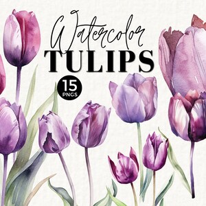 Tulipano floreale clipart fiori dell'acquerello, uso commerciale, clip art viola, cancelleria per matrimoni, PNG, bouquet, addio al nubilato, 025SS