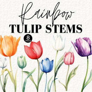 Aquarel tulpstelen clipart, bloemen png, botanische kunst, kaarten maken, junk journaling, lentebloem, regenboogkleur, commercieel gebruik, 062SS
