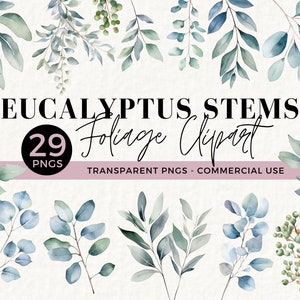 Clipart de folhas e galhos de eucalipto em aquarela, 29 PNGs transparentes, gráficos florais de vegetação para casamento, download digital, folhagem, 021SS