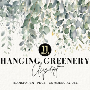 May include: Watercolor illustration of hanging greenery with eucalyptus leaves in shades of green and gray. The image includes the text "HANGING GREENERY Clipart" and "11 PNGS". Transparent PNGs for commercial use.