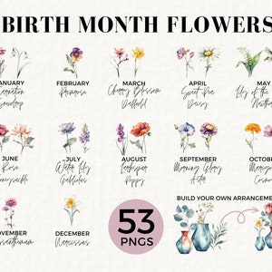Pacote de clipart de flores do mês de nascimento, 53 pacote PNG transparente, para uso comercial, clipart de flores em aquarela, botânico, rosa, papoula, 017SS