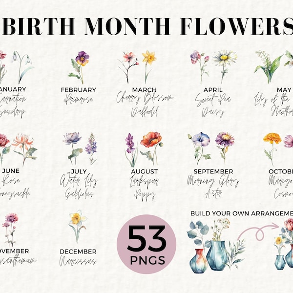 Birth Month Flowers Clipart Bundle, 53 Transparent PNG Pack, For Commercial Use, Watercolor Flower Clipart, Botanical, Rose, Poppy, 017SS