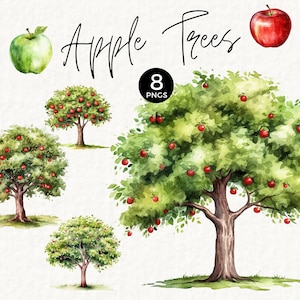 Apple Tree Clipart Uso comercial, Red Apple PNG, Apple of our eye Baby Shower, Decoração de primeiro aniversário, Junk Journals, Watercolor Tree, 010SS
