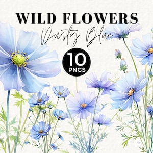 Wild Floral Clipart Watercolor Wild Flowers, Dusty Blue, Wedding Clipart, Watercolor Floral Border, Cosmos, Botanical Wildflower, PNG, 031SS
