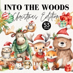 Clipart de Natal da floresta, inverno em aquarela, animal fofo da floresta, uso comercial para enfeites de Natal, etiquetas para presentes, para impressão, raposa, 044SS
