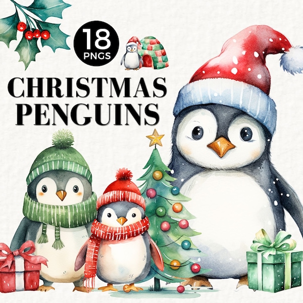 Cute Penguin PNG, Christmas Holiday Clipart, Winter Animals, Commercial Use, Sublimation Graphics, Printable Gift Tag Illustrations, 044SS