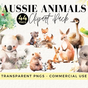 Clipart de coala, aquarela animal australiano PNG, decoração de berçário, selvagem, arte de parede infantil, chá de bebê, canguru, gambá, uso comercial, 027SS