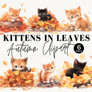 Fall Cat in Autumn Leaves Clipart, Commercial License, Playful Kitten, Cat Mom, Ginger, Black Cat, Puurfect, Feline, Cat Clip Art, 039SS