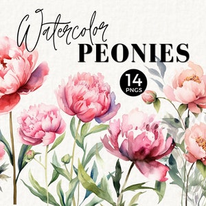 Peony Floral Clipart Watercolor Flowers, Dusty Pink, Floral Border, Wedding Stationery, Baby Shower Decor, Digital Clipart PNG, 025SS
