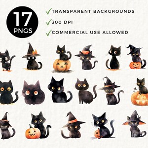 May include: 17 digital illustrations of black cats in various poses, some wearing witch hats, some holding pumpkins, and some sitting on pumpkins. The illustrations are in a watercolor style and have a white background.