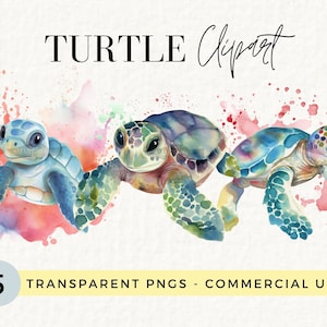 Puede incluir: Cinco ilustraciones de acuarela de tortugas marinas con salpicaduras de pintura coloridas en el fondo. Las tortugas están en varias poses, algunas mirando hacia adelante y otras mirando hacia un lado. Las tortugas están pintadas en tonos de azul, verde y marrón.