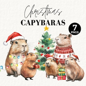 Clip Art di capibara natalizio, uso commerciale per ornamenti, etichette regalo, stampabile, bosco, animale carino, luci di Natale aggrovigliate, cappello di Babbo Natale, 044SS