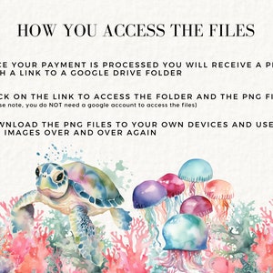May include: A watercolor illustration of a sea turtle swimming through coral reefs with jellyfish. The text reads "HOW YOU ACCESS THE FILES", "ONCE YOUR PAYMENT IS PROCESSED YOU WILL RECEIVE A PDF WITH A LINK TO A GOOGLE DRIVE FOLDER", "CLICK ON THE LINK TO ACCESS THE FOLDER AND THE PNG FILES (please note, you do NOT need a google account to access the files)", and "DOWNLOAD THE PNG FILES TO YOUR OWN DEVICES AND USE THE IMAGES OVER AND OVER AGAIN".