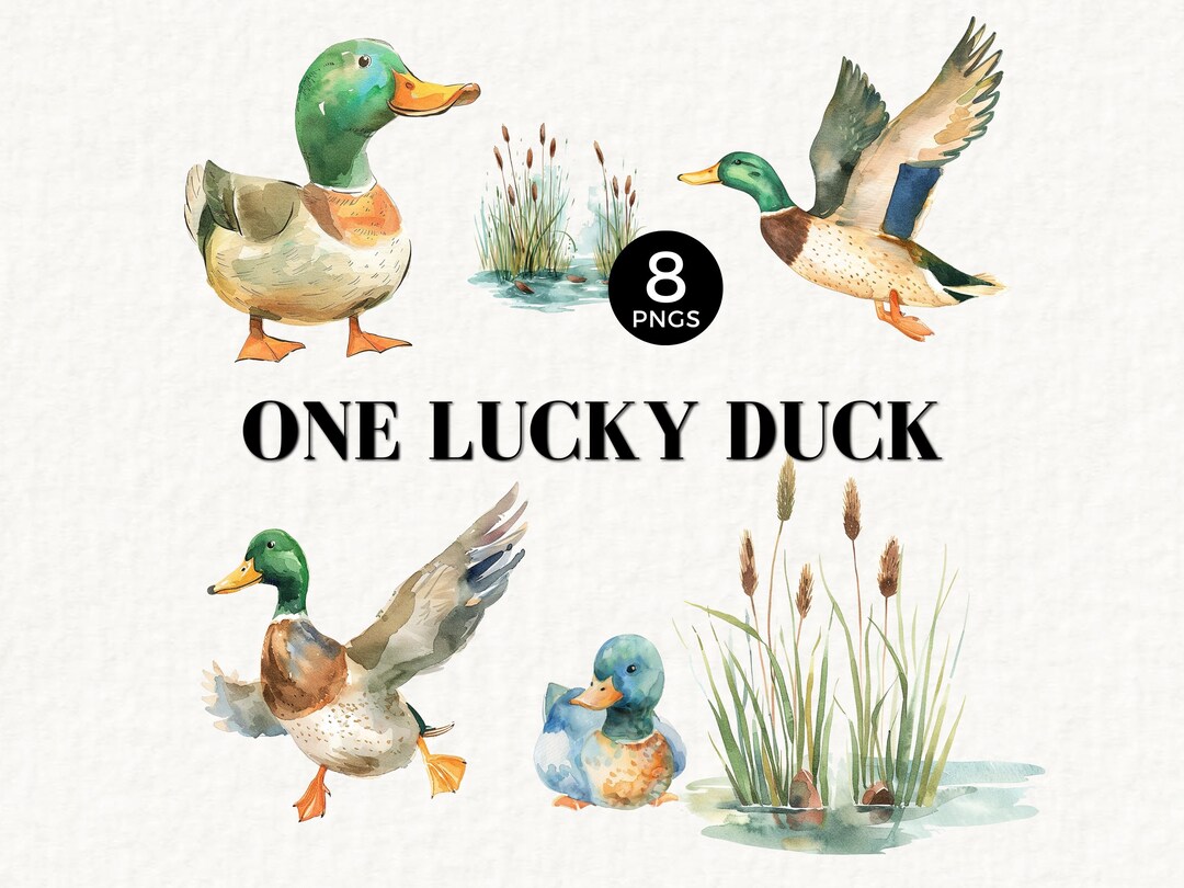 One Lucky Duck Party Hat, Mallard 1st Birthday Decorations, One Year Old Birthday Party Decor, Boy Cake Smash Outfit, Duck 1st Birthday