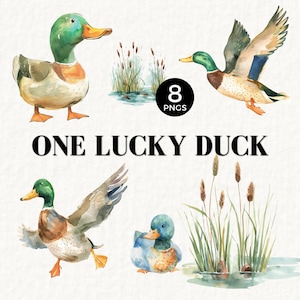 Un Clipart de canard porte-bonheur pour les décorations de premier anniversaire, PNG de canard colvert, Illustration aquarelle, vert, volant, graphiques de fête de garçon, 080SS