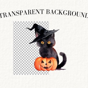 May include: A black cat wearing a witch's hat sits on a jack-o'-lantern pumpkin. The cat has yellow eyes and a black tail. The pumpkin has a carved face with a wide smile.