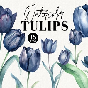 Tulp bloemen clipart aquarel bloemen, commercieel gebruik, marine, stoffige blauwe illustraties, bruiloft briefpapier, png, boeket, bruids douche, 025SS