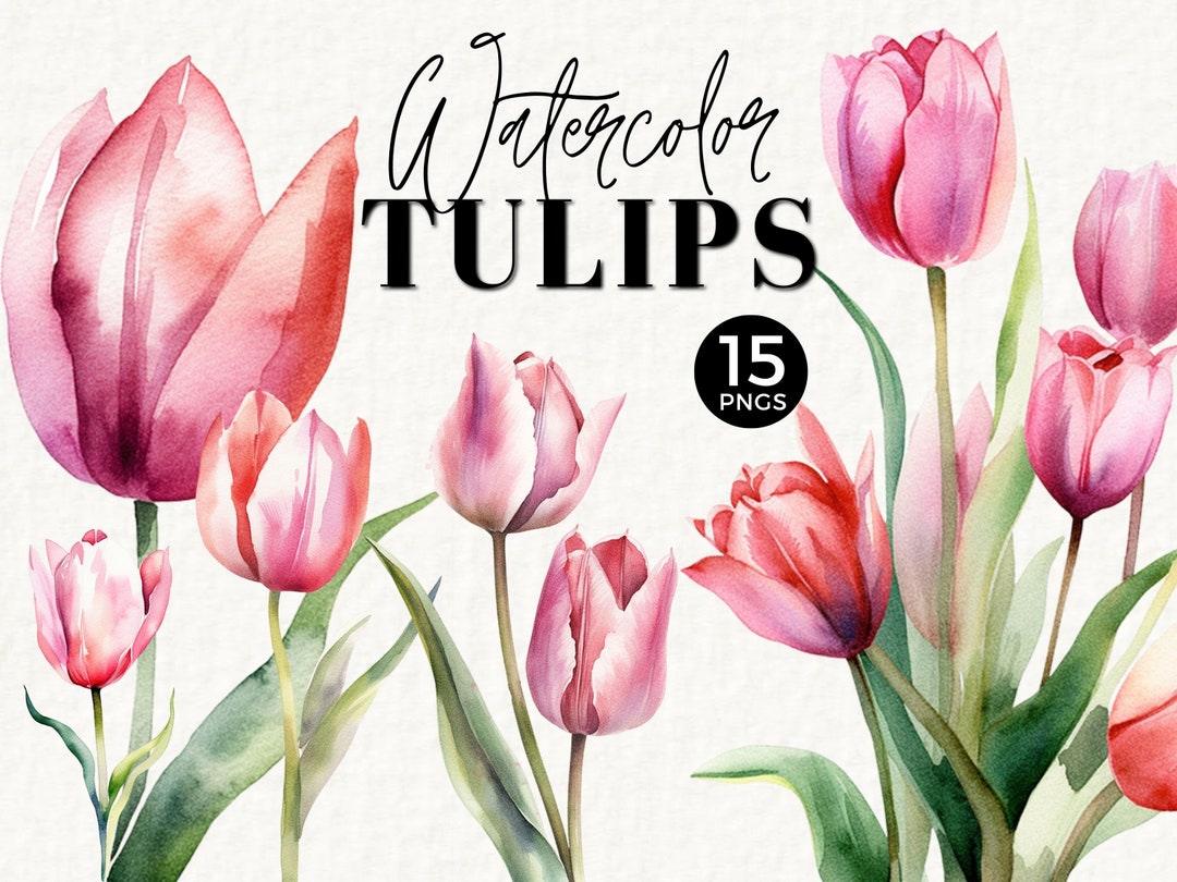 Tulip Floral Clipart Watercolor Flowers, Commercial Use, Spring Pink ...