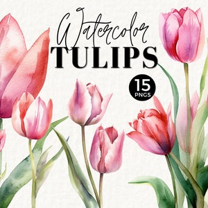 Tulpe Blumen Clipart Aquarell Blumen, Kommerzielle Nutzung, Frühling Rosa, PastellClip Art, Hochzeit Briefpapier, PNG, Blumenstrauß, Brautparty, 025SS