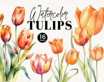 Tulpe Blumen Clipart Aquarell Blumen, kommerzielle Nutzung, Herbst Orange Clip Art, Hochzeit Briefpapier, PNG, Blumenstrauß, Brautparty, 025SS