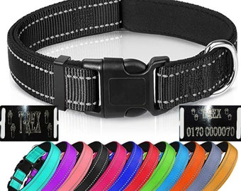 Hundehalsband Halsband Name Gravur personalisiert Haustier Hund Katze Nylon