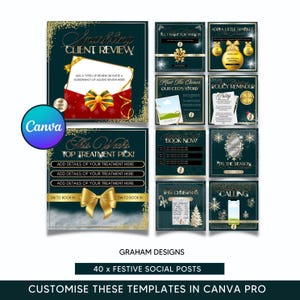 May include: A set of 40 festive social media post templates for businesses. The templates feature a green and gold color scheme with a variety of Christmas-themed graphics, including snowflakes, ornaments, and a Christmas tree. The text on the templates includes phrases like "Sparkling Client Review", "This Week's Top Treatment Pick", "Book Now", and "It's the Season".