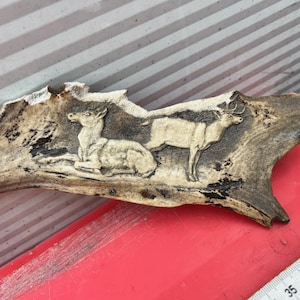 Peut inclure: Un segment de bois de cerf sculpté représentant deux cerfs. L'un est couché, l'autre debout. La sculpture est brun clair avec des détails brun foncé. Le bois de cerf repose sur une surface rouge. Mesure environ 35 cm de long.