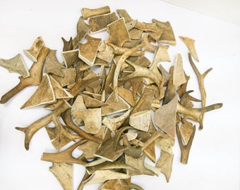 May include: A collection of various sizes and shapes of natural antler pieces. The antler pieces are light brown in color and have a rough, textured surface.