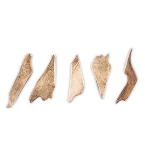 S-XL Size / 9-21 cm / 18-120g Natural dog chew fallow deer antlers / 0,039-0,26 lb / 3,54-8,26 in / EASY - Elements of decoration art pieces