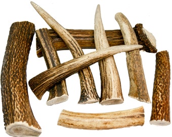 XS - Taille XXL - 20-200 g / 6-21 cm Bois de cerf naturel à mâcher pour chien - ENTIER un morceau de bois - Éléments d'art, décoration, uniqe