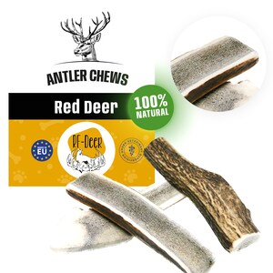Peut inclure: Deux bois de cerf rouge pour chiens. Les bois sont naturels et 100% naturels. Les bois sont sur un fond jaune avec le texte "ANTLER CHEWS Red Deer 100% NATURAL" et un logo qui dit "RF-Deer".