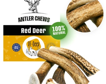 1 kg / Taille XS-XXL / 6-21 cm / 20-200 g Bois de cerf naturel à mâcher pour chien - ENTIER un morceau de bois - Éléments d'art, décoration, uniqe