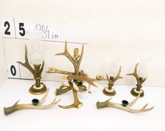 PRICE FOR ALL 20-25 cm high Unique roe deer Antler candlesticks with glass elements artist home decoration natural / 7,87-9,84 in