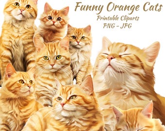 Funny Orange Cat Clipart Set , Watercolor Ginger Cats PNG,Digital Pet Illustrate Art
