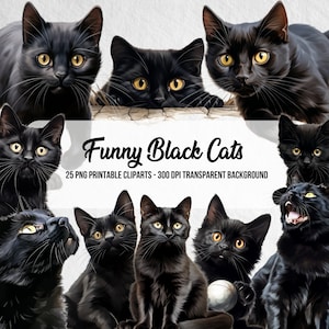 Imágenes prediseñadas de gatos negros divertidos PNG, sublimación de gato negro, imágenes prediseñadas de gato realista, descarga digital instantánea, efecto acuarela, arte en papel, diario basura