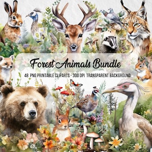 動物の森のクリップアート、PNG アート、森の動物のデジタル ペーパー、バンドル セール、水彩画のしずく、クリップアート セール、デジタル クリップアート、花柄のクリップアート png
