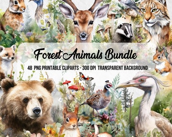 Watercolor Forest Animal Clipart, PNG Bundle (Digital Download)