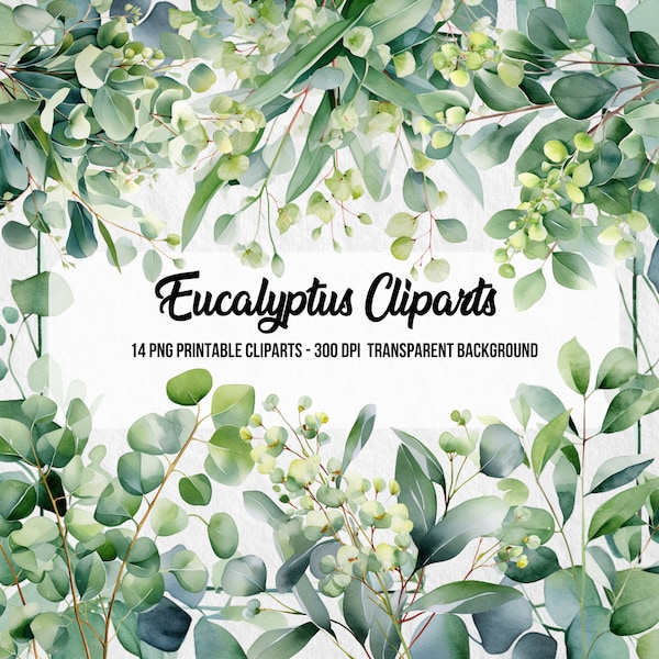Eucalyptus Cliparts,Watercolor Effect,Commercial Use,Scrapbook,Junk Journal, PNG Plants,Digital Downloads,Clipart Bundle,Greenery Bundle