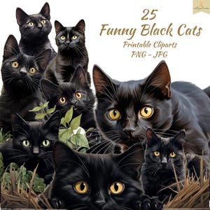 May include: A digital illustration of numerous black cats with yellow eyes. The image includes the text "25 Funny Black Cats" and "Printable Cliparts PNG - JPG". The cats are shown in different poses, some amongst greenery.