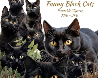 Lustiges schwarze Katzen Clipart-Bundle - dunkle Aquarell Katzen PNGs, digitale Haustier Illustrationen