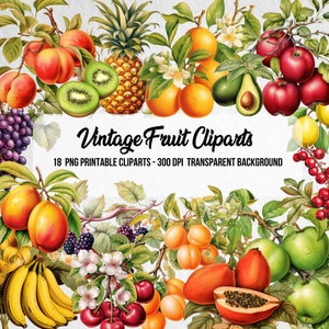 18 cliparts de fruits de style vintage, kit de fabrication de cartes à effet aquarelle, scrapbooking, journal indésirable, téléchargement numérique instantané, kit de journal, oeuvre d'art et d'artisanat