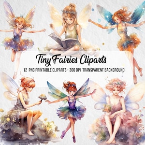 May include: Twelve digital illustrations of fairies with wings, each with a different pose and expression. The fairies are depicted with colorful wings, dresses, and flowers. The background is transparent.