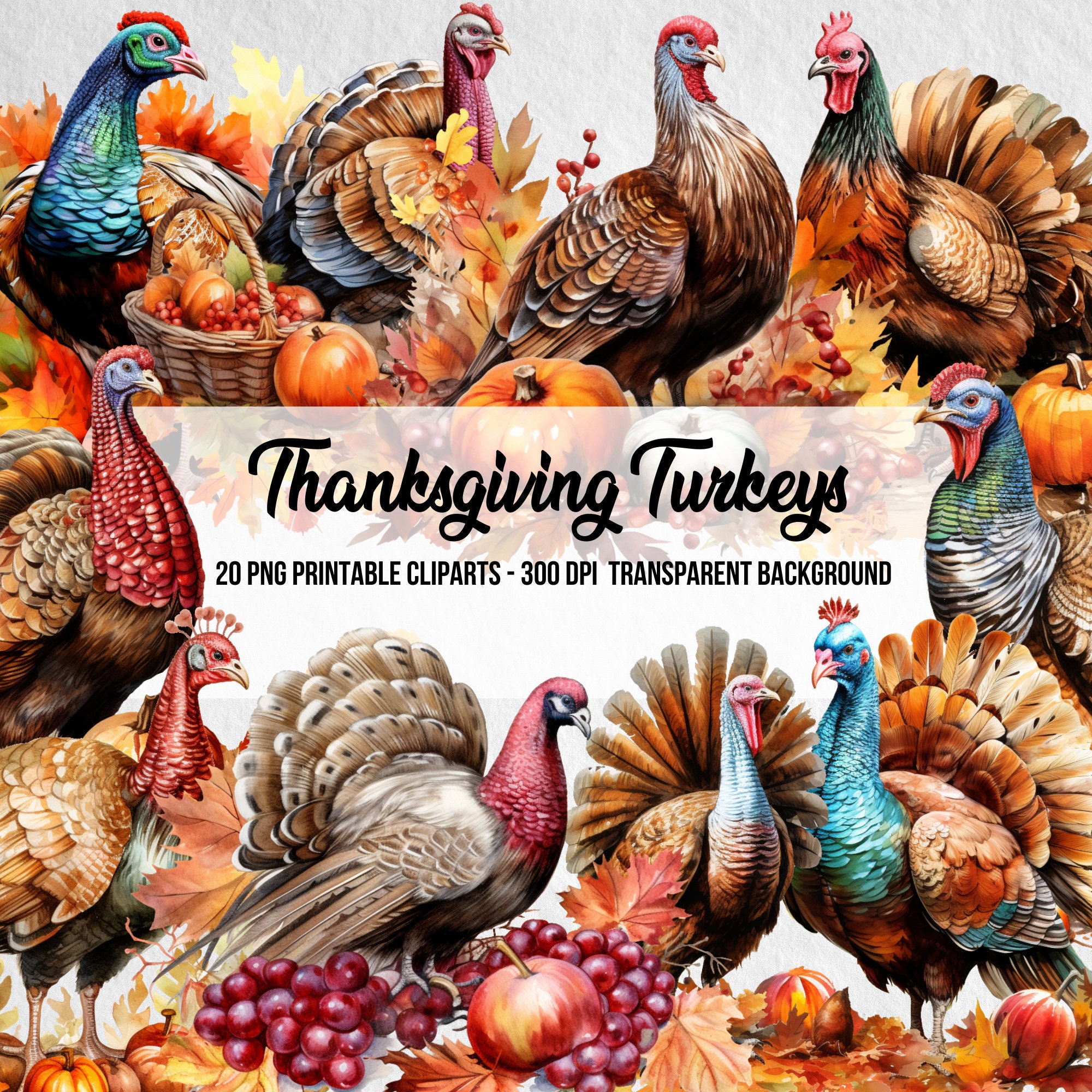 Thanksgiving Turkeys Cliparts,Watercolor Clipart,Fall Clipart,Autumn Element,Fall PNG,Autumn Sublimation,Scrapbook,Paper Craft,Fall Clip Art