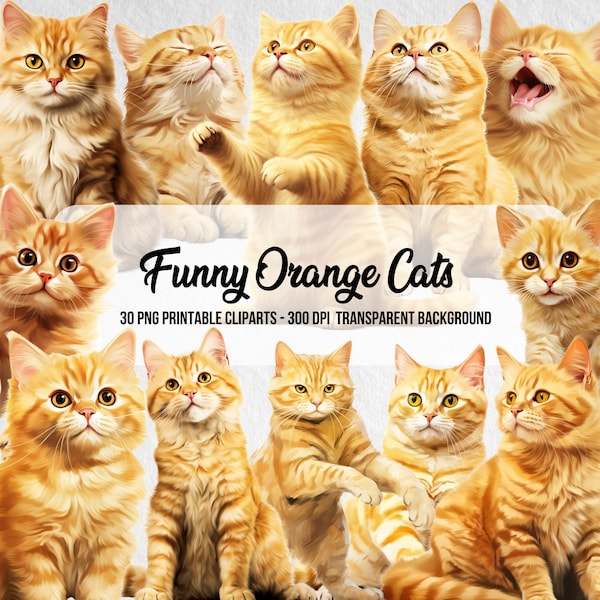 PNG Funny Orange Cat Clipart,Orange Cat Sublimation,Realistic Cat Clip Art,Instant Digital Download,Watercolor Effect,Paper Art,Junk Journal