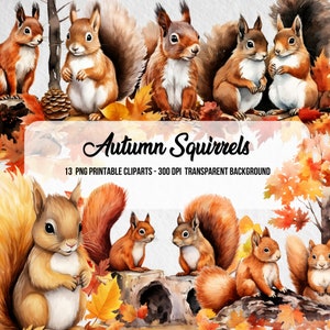 May include: A set of 13 digital illustrations of squirrels in autumnal colours. The squirrels are depicted in various poses, including sitting, standing, and running. The illustrations are set against a background of autumn leaves and branches. The text "Autumn Squirrels" and "13 PNG Printable Clipart - 300 DPI Transparent Background" is included in the image.