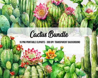 Watercolor Cactus Clipart Bundle, PNG Plants (Digital Download)