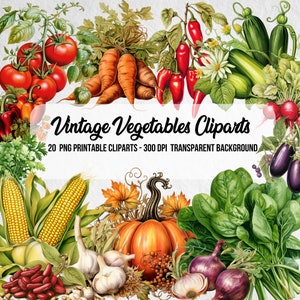 20 cliparts de légumes de style vintage, kit de fabrication de cartes à effet aquarelle, scrapbooking, journal indésirable, téléchargement numérique instantané, journal, art et artisanat